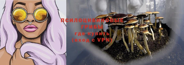 кокс Бородино