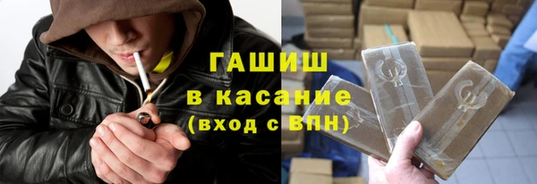 индика Богородицк