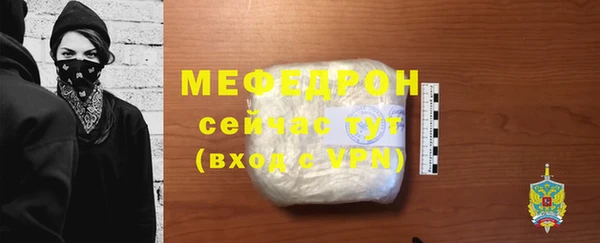 индика Богородицк