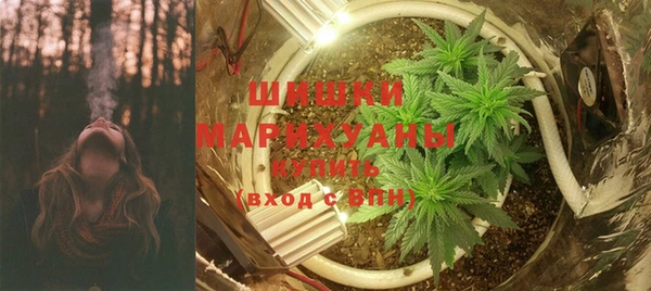 эйфоретик Белокуриха