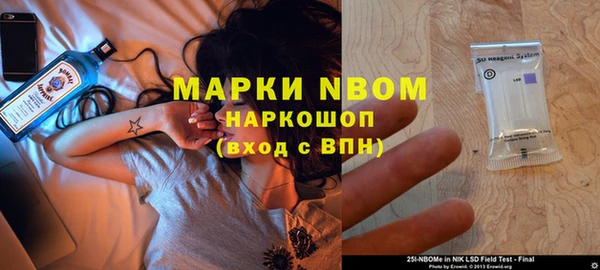 индика Богородицк