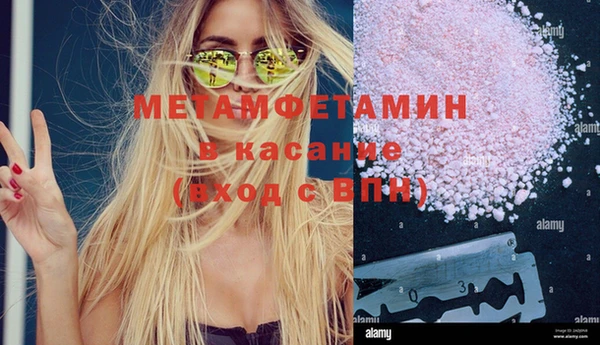 индика Богородицк