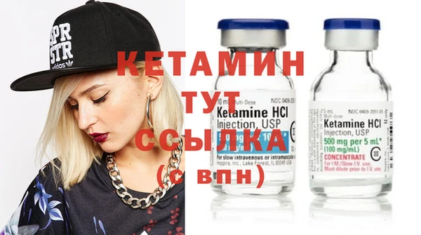 индика Богородицк