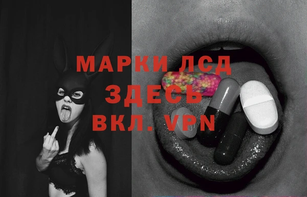 индика Богородицк